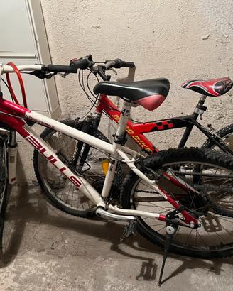 Biciclette da ragazzo