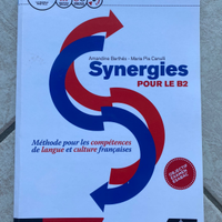 Synergies 2