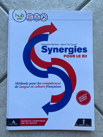 Synergies 2