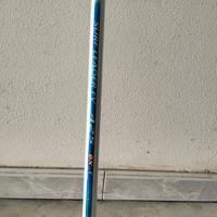 Canna da pesca Surf Leader FV 425 BX-T