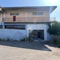 NEGOZIO A ALBANO LAZIALE