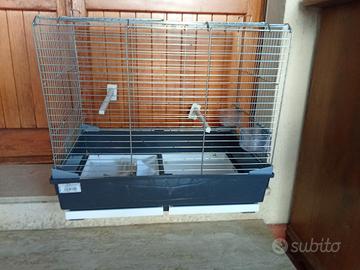 Gabbia grande 