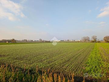 TERRENO A MADDALONI