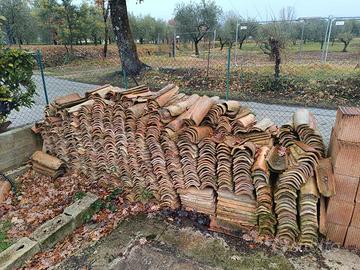 coppi tegole canali antichi in stock 1200 pezzi