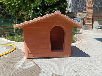 cuccia per cane
