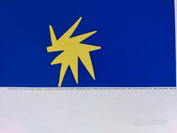 manifesto matisse