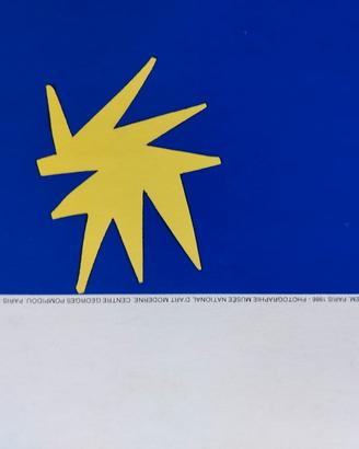 manifesto matisse