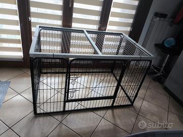 kennel
