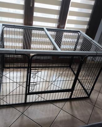 kennel