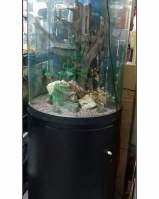 Acquario Cilindrico NUOVO e altri