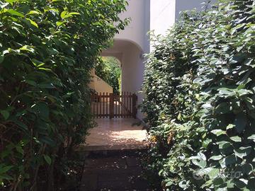 Appartamento primo piano: SAN TEODORO