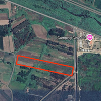 Terreno agricolo girasole