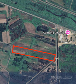 Terreno agricolo girasole