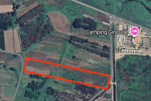 Terreno agricolo girasole