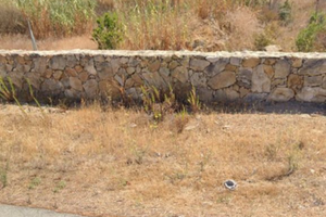 Terreno agricolo