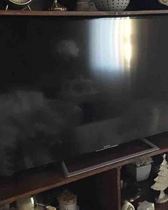 Sony Bravia 48” Full HD