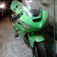 Carene I Per kawasaki  Ninja  per pista