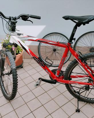Mountain bike