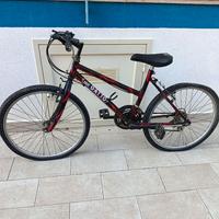 Bici Mountain bike 24
