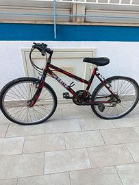 Bici Mountain bike 24