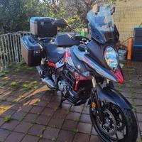 Suzuki V Strom DL 650 - 2019