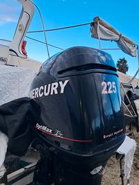 225 Mercury Optimax 