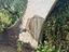 Immagine 11