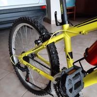 mtb CRN boy 24