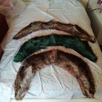 Collari di pelliccia