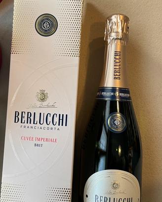 Berlucchi Brut franciacorta