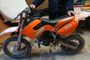 Motore Malaguti grizzli