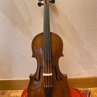 Violino