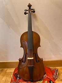 Violino