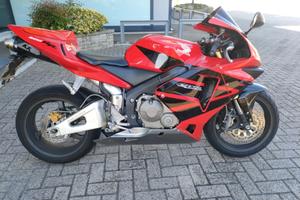 CBR 600 rr 2003