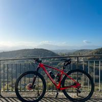 Mtb bicicletta