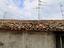Immagine 14