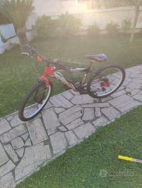 bici ragazzo 24 pollici