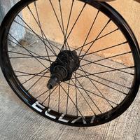 ruota freecoaster eclat