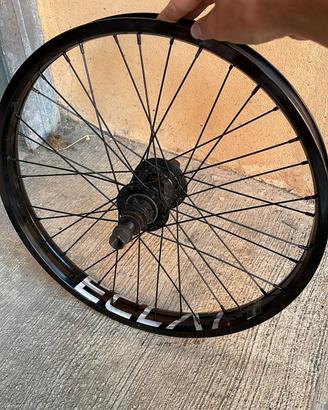 ruota freecoaster eclat