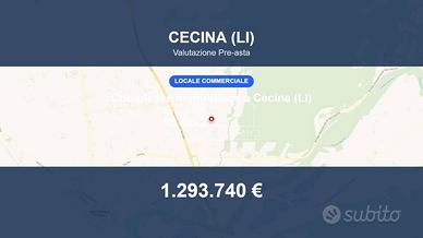 Immobile in asta di 75470 m² a Cecina