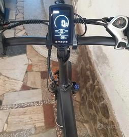 Bicicletta elettrica