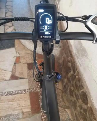 Bicicletta elettrica