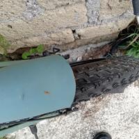 Bicicletta elettrica con pedalata assistita