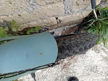 Bicicletta elettrica con pedalata assistita