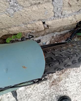 Bicicletta elettrica con pedalata assistita