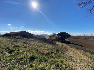 RUSTICO A MONTEFIASCONE