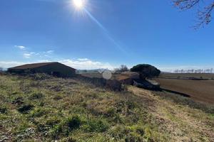 RUSTICO A MONTEFIASCONE