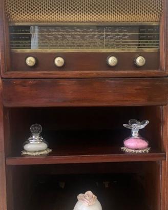 Mobile Radio