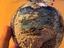 Immagine 3
