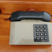 Telefono vintage e prolunga